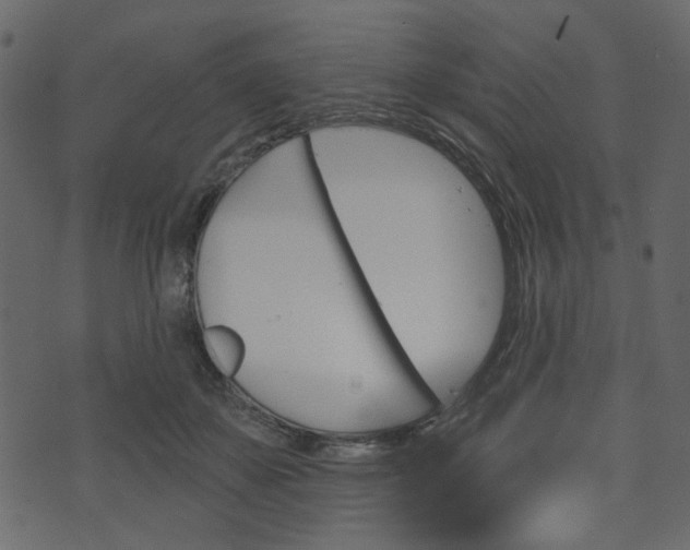 X0000070860507200606231256