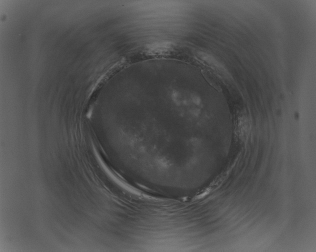 X0000070860508200606231256