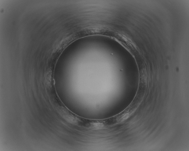 X0000070860509200606231256