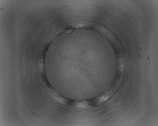 X0000070860510200606231256