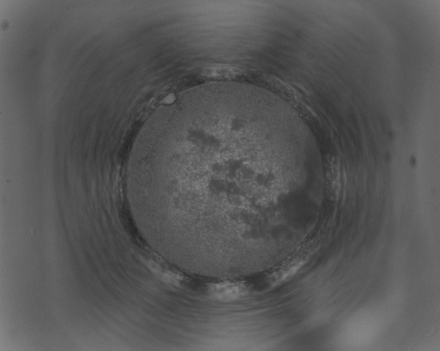 X0000070860511200606231256