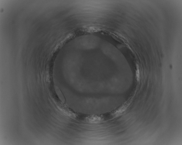 X0000070860512200606231256