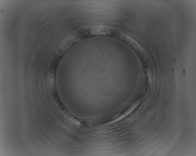 X0000070860513200606231256