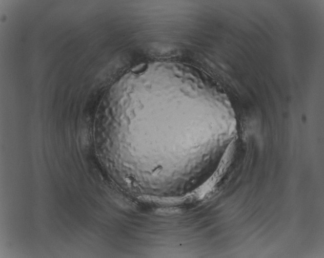 X0000070860515200606231256