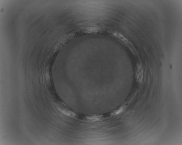 X0000070860516200606231256