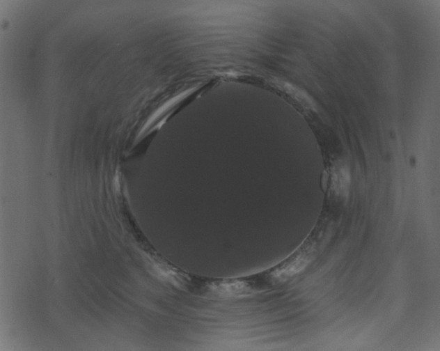 X0000070860517200606231256