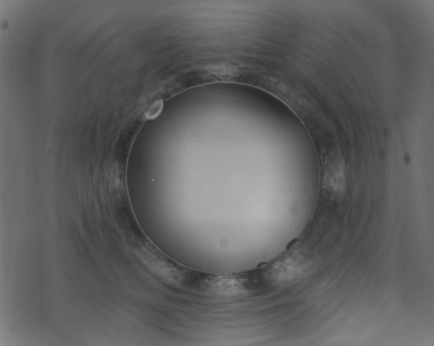 X0000070860518200606231256