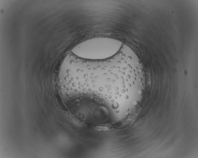 X0000070860519200606231256