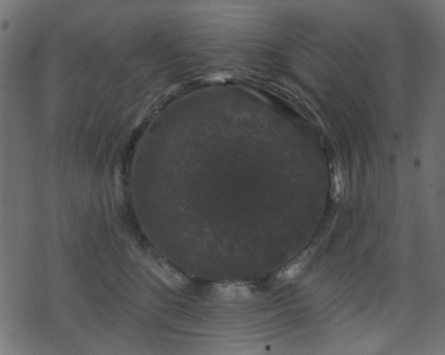 X0000070860520200606231256