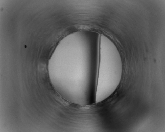 X0000070860521200606231256