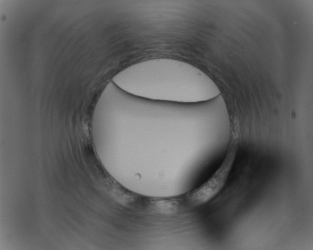 X0000070860522200606231256