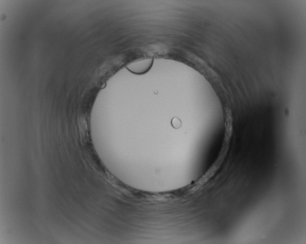 X0000070860523200606231256