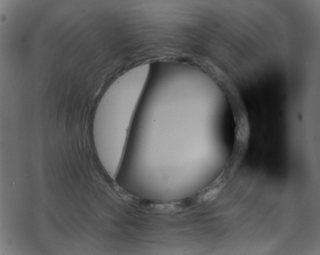 X0000070860524200606231256