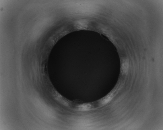 X0000070860525200606231256