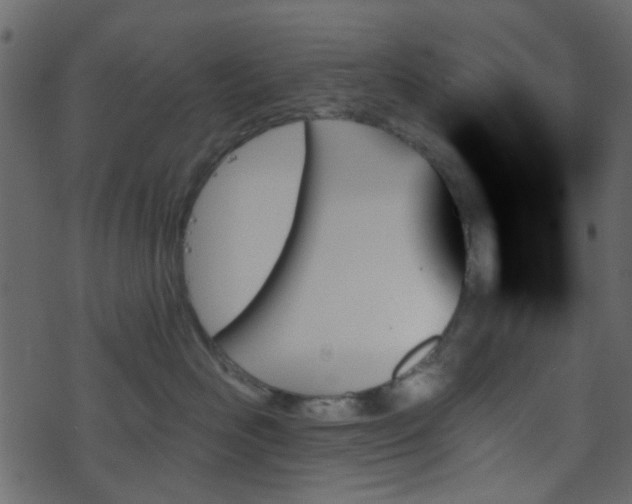 X0000070860526200606231256