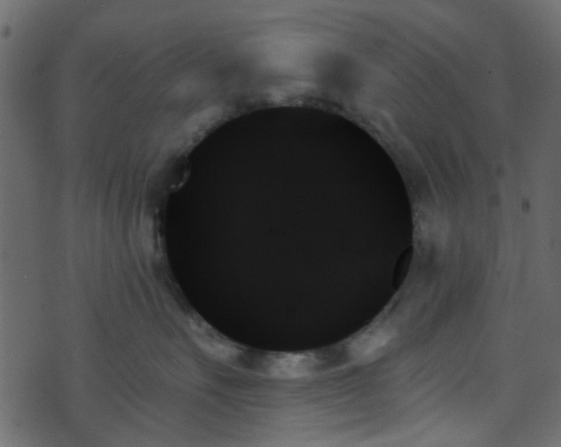 X0000070860527200606231256