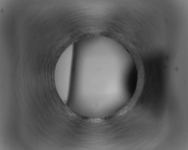 X0000070860528200606231256