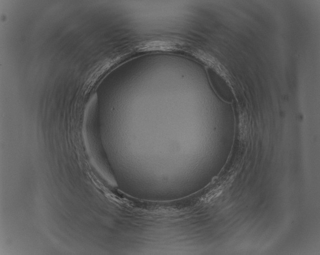 X0000070860529200606231255