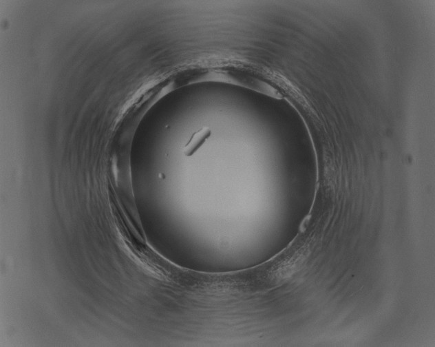 X0000070860530200606231255