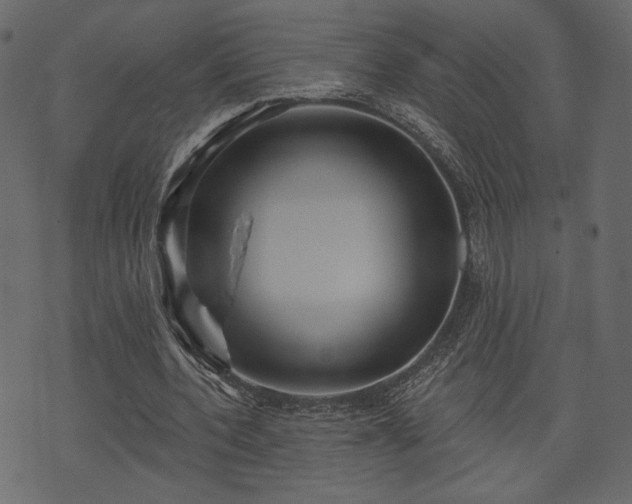 X0000070860532200606231255