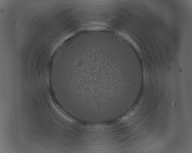 X0000070860533200606231255