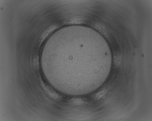 X0000070860534200606231255