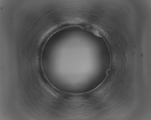 X0000070860535200606231255