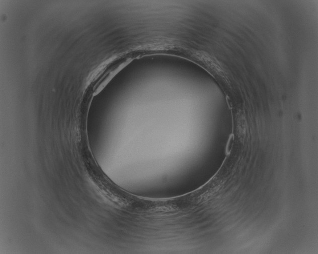 X0000070860536200606231255