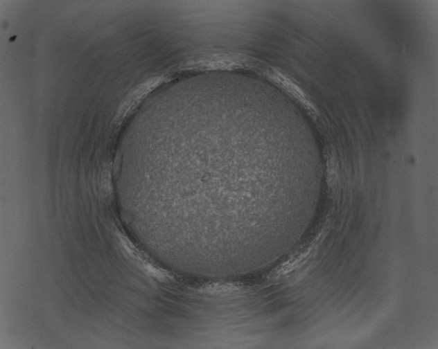 X0000070860537200606231255