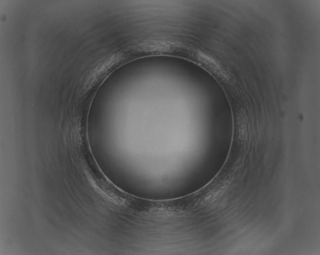 X0000070860538200606231255