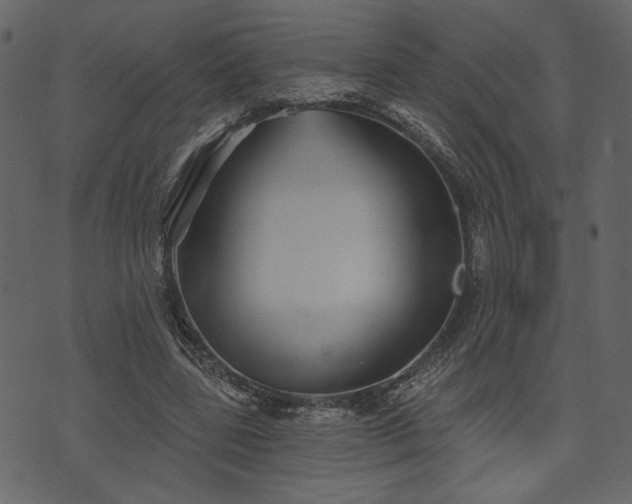 X0000070860539200606231255