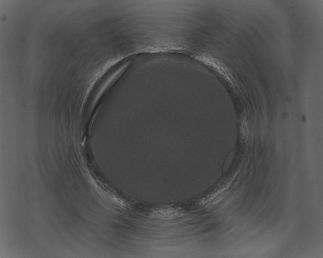 X0000070860540200606231255