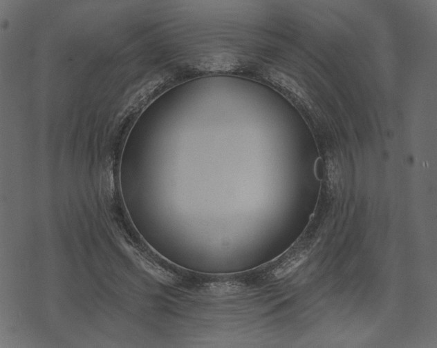 X0000070860541200606231255