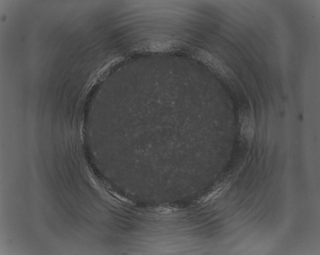 X0000070860542200606231255