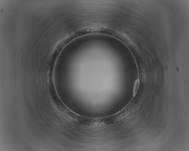 X0000070860543200606231255