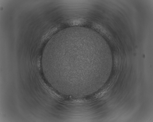 X0000070860545200606231255