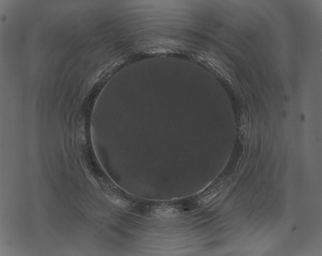 X0000070860547200606231255