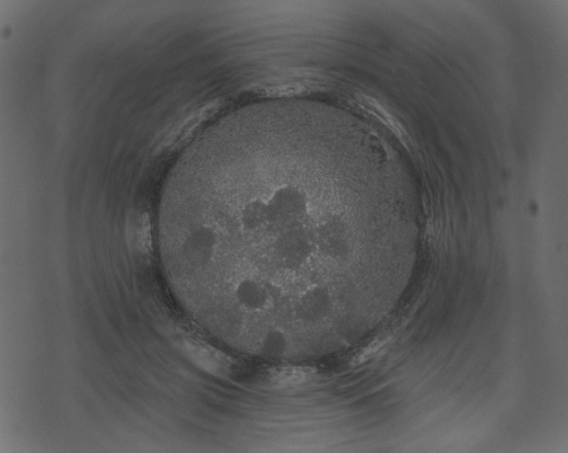 X0000070860549200606231255