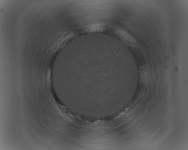 X0000070860550200606231255