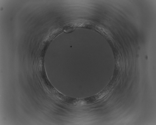 X0000070860551200606231255