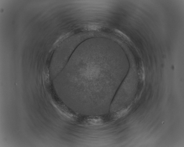 X0000070860552200606231255