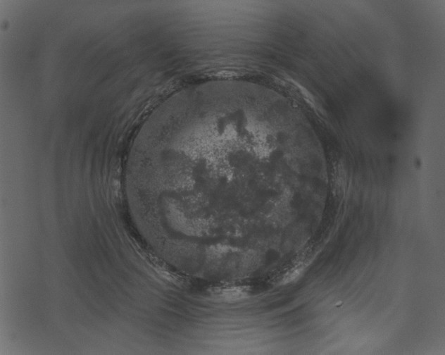 X0000070860553200606231255