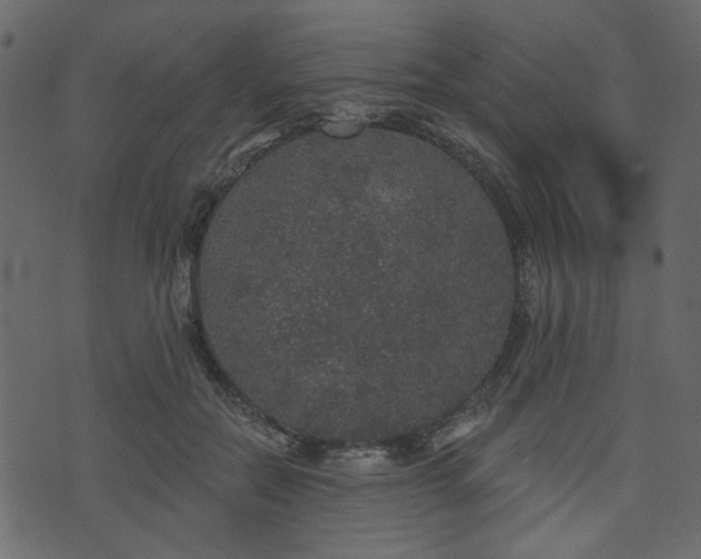 X0000070860554200606231255