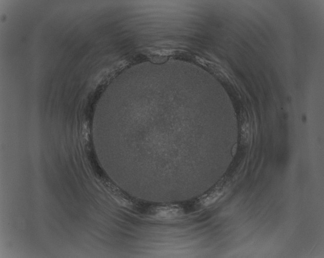 X0000070860555200606231255