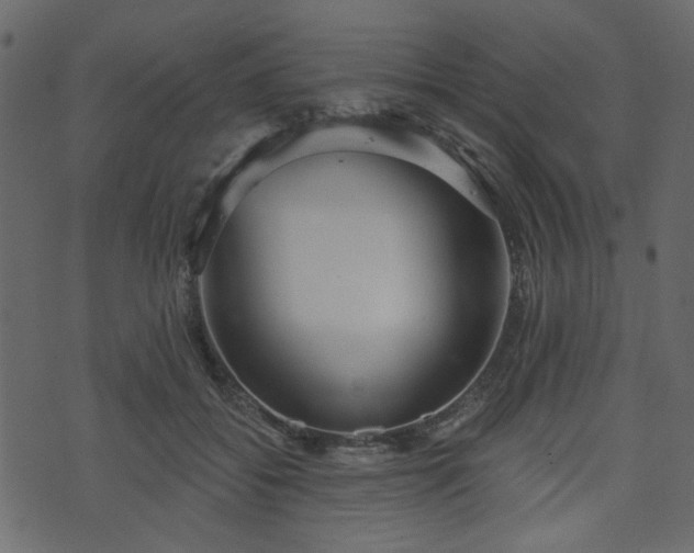 X0000070860556200606231255