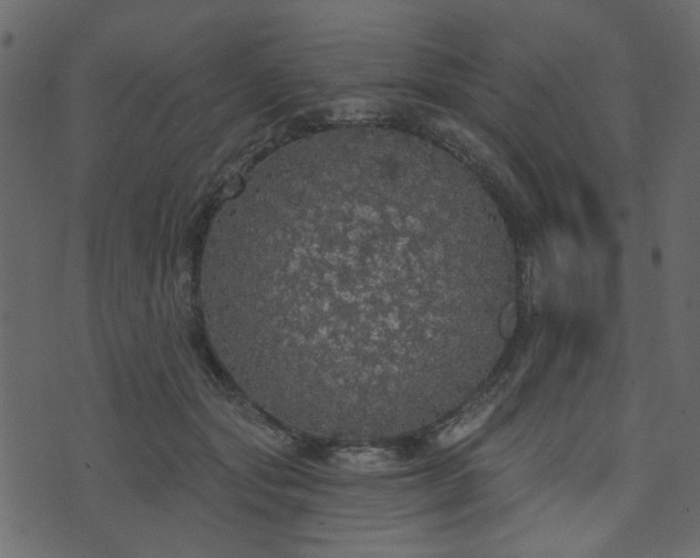 X0000070860557200606231255