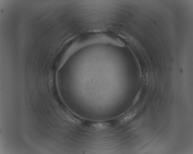 X0000070860558200606231255