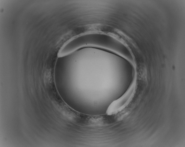 X0000070860560200606231255