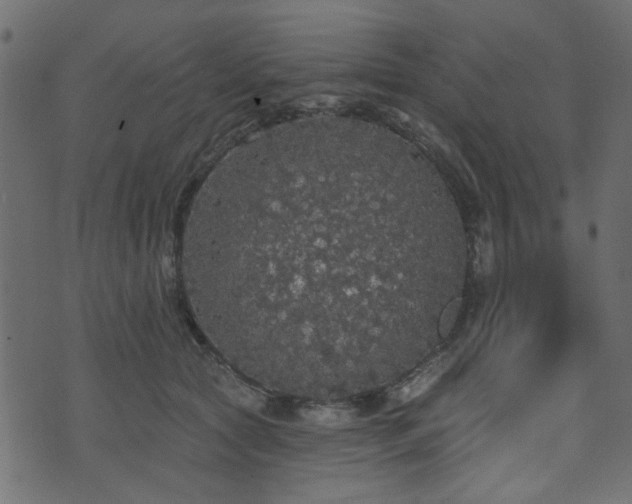 X0000070860561200606231255