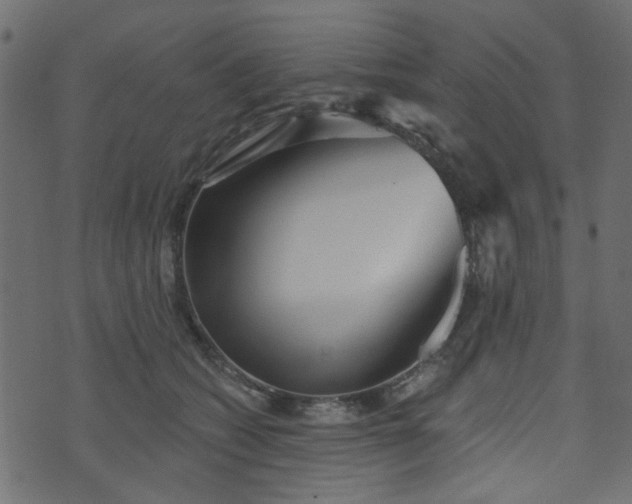 X0000070860562200606231256